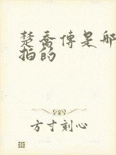楚乔传是哪一年拍的