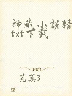 神藏小说精校版txt下载