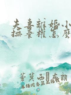 夫妻离婚小孩的抚养权怎么判