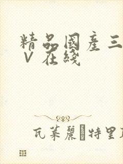 精品国产三级a∨在线