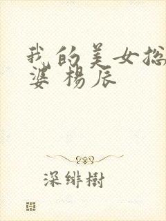 我的美女总裁老婆 杨辰
