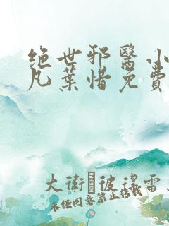 绝世邪医小说林凡叶惜免费阅读全文