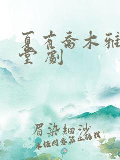 夏有乔木雅望天堂 剧