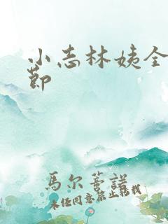 小志林姨全部章节