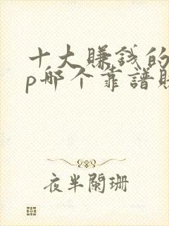 十大赚钱的app哪个靠谱赚钱还快