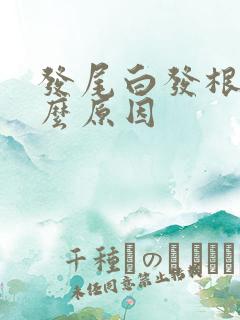 发尾白发根黑什么原因
