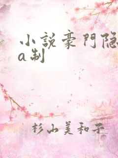 小说豪门隐婚aa制