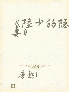 《陆少的隐婚罪妻》