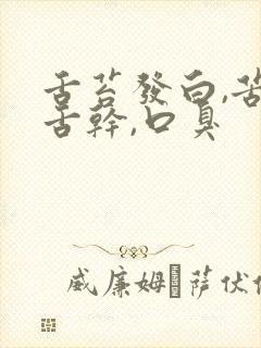 舌苔发白,苦,舌干,口臭