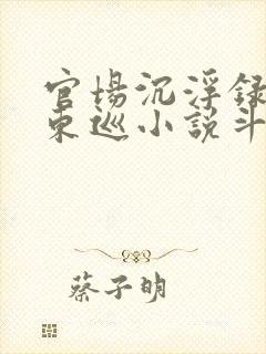 官场沉浮录骑鹤东巡小说斗