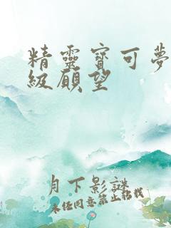 精灵宝可梦:超级愿望