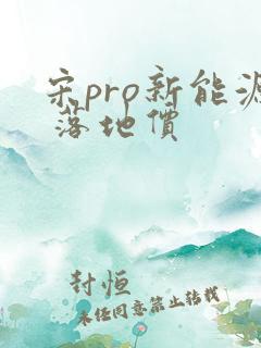 宋pro新能源 落地价