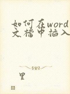 如何在word文档中插入pdf文件