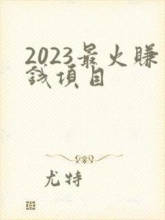 2023最火赚钱项目
