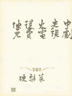 他从火光中走来免费电视剧