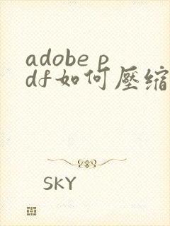 adobe pdf如何压缩文件大小