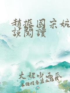 赵振国宋婉清小说阅读