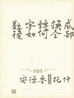 数字转换成文本后如何全部显示出来