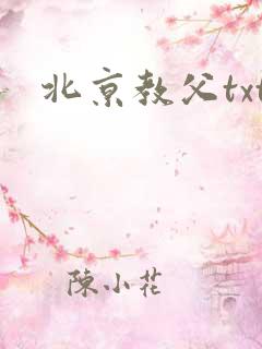 北京教父txt