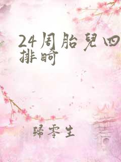 24周胎儿四维排畸