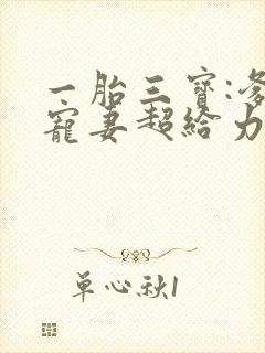 一胎三宝:爹地宠妻超给力