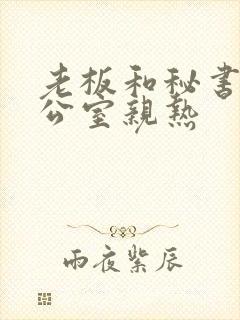 老板和秘书在办公室亲热