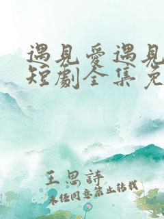 遇见爱遇见幸福短剧全集免费版