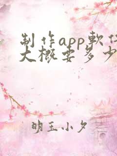 制作app软件大概要多少钱
