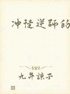 冲徒逆师的小说