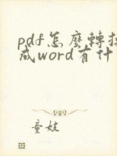 pdf怎么转换成word有什么软件