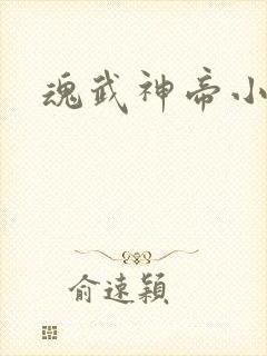 魂武神帝小小八