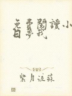 免费阅读小说白日梦我