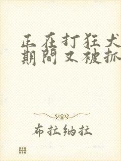 正在打狂犬疫苗期间又被抓了怎么办