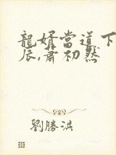 龙婿当道下载叶辰,萧初然