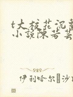t大校花沉系列小说陈若芸