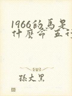 1966的马是什么命 五行属什么