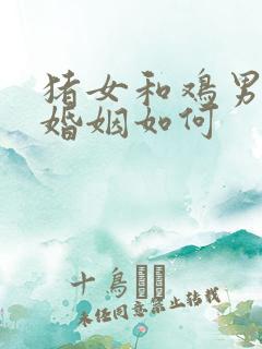 猪女和鸡男相配婚姻如何
