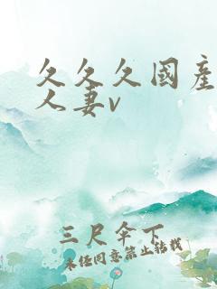 久久久国产精品人妻v