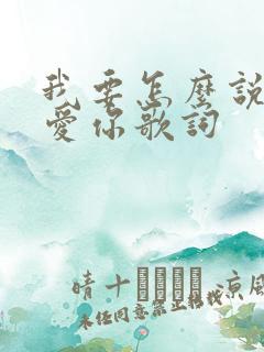 我要怎么说我不爱你歌词