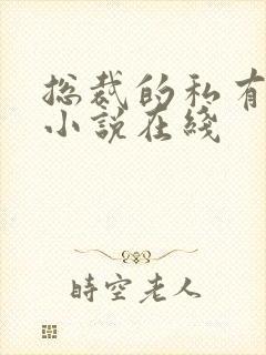 总裁的私有宝贝小说在线