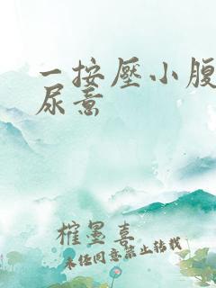 一按压小腹就有尿意
