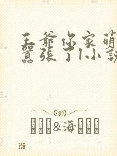 王爷你家萌妃太嚣张了l小说