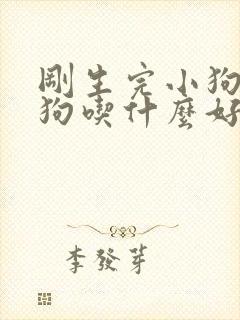 刚生完小狗的母狗吃什么好