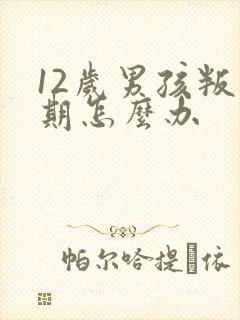 12岁男孩叛逆期怎么办