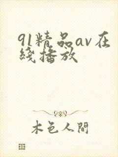 91精品av在线播放