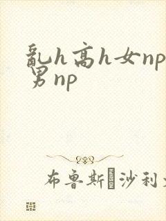乱h高h女np男np