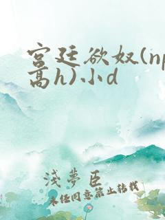 宫廷欲奴(np高h)小d