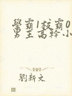 学霸1校霸0双男主高干小说