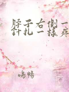 脖子右侧一阵阵针扎一样疼