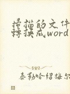 扫描的文件怎么转换成word
